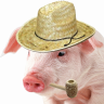 Pigfarmer