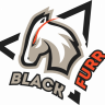 BlackFurr